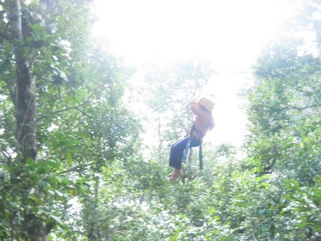 Zip line between trees 